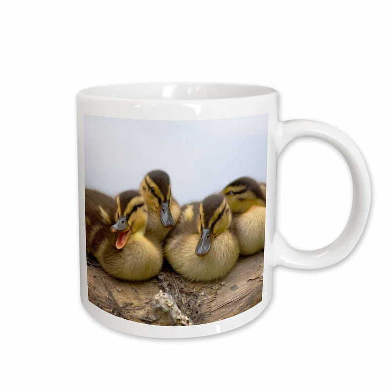 Tailorly White Ceramic 11 oz Mug - Group Of Small Fluffy Yellow And Brown Ducklings Resting Together Duckling