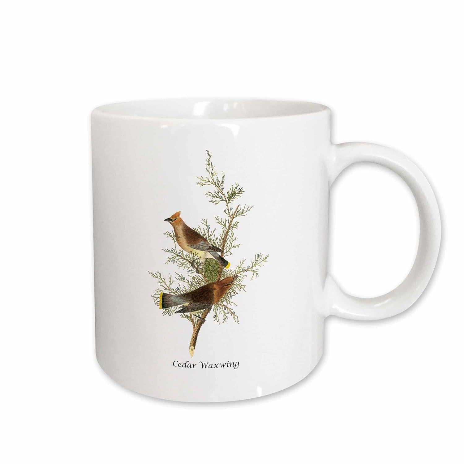 Tailorly White Ceramic 11 oz Mug - Cedar Waxwing Realistic Two Cedar Waxwings Resting Upon A Pine Tree Evergreen Branch Bird
