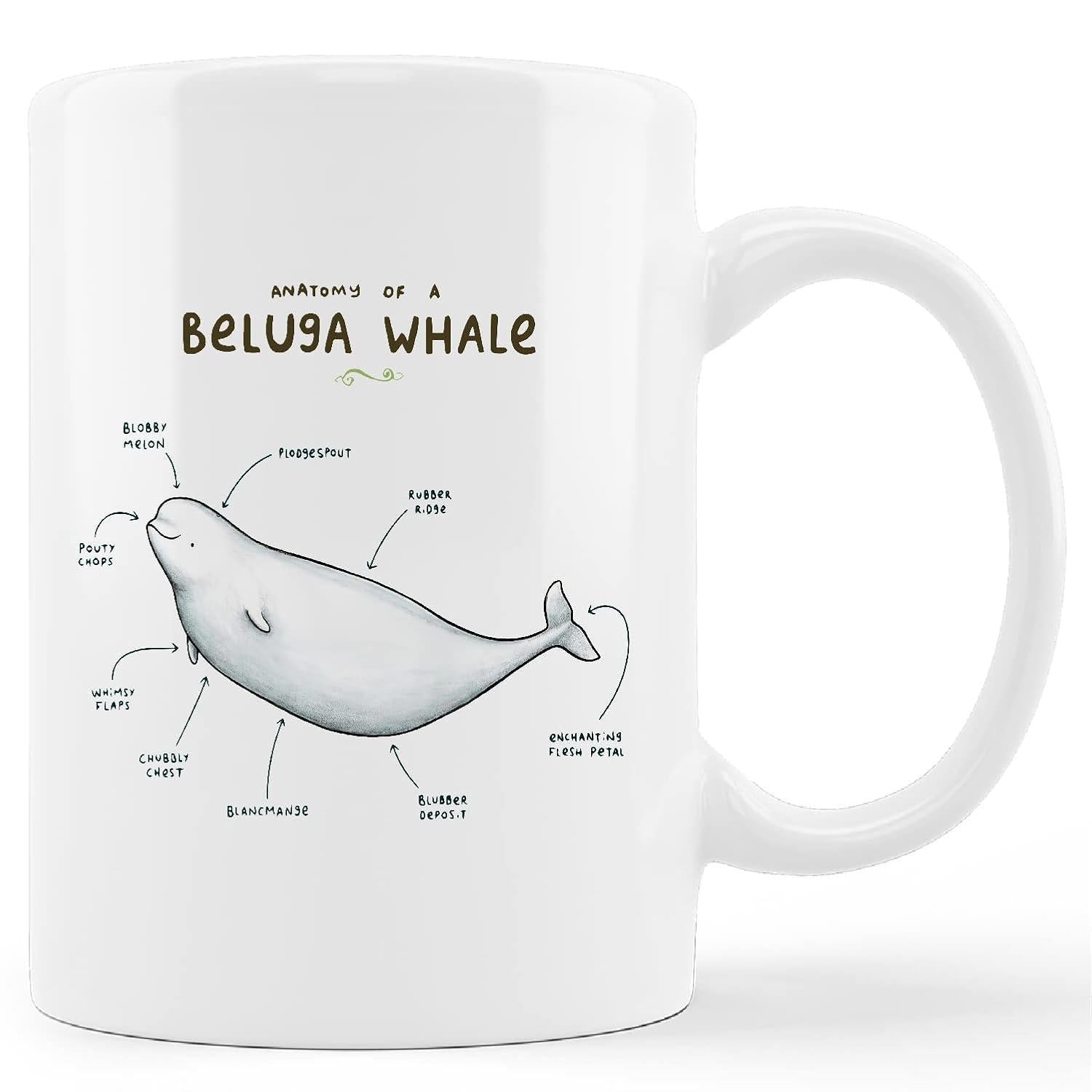 Tailorly White Ceramic 11 oz Mug - Anatomy Of A Beluga Whale Scientific Illustration Showing Different Body Parts Of A Graceful Swimming Marine Creature Whale