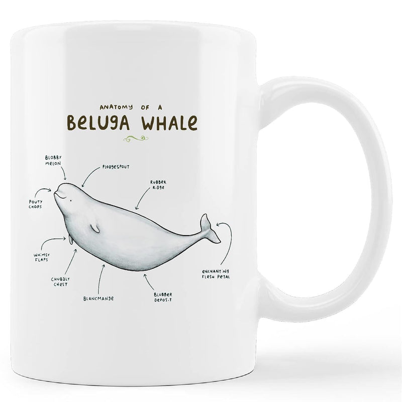 Tailorly White Ceramic 11 oz Mug - Anatomy Of A Beluga Whale Scientific Illustration Showing Different Body Parts Of A Graceful Swimming Marine Creature Whale