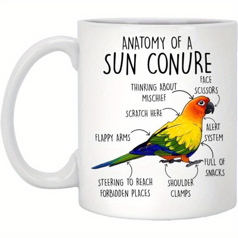 Tailorly White Ceramic 11 oz Mug - Anatomy Of A Sun Conure Vibrant Colorful Bird With Detailed Feathers And Educational Labeling Layout Sun Conure