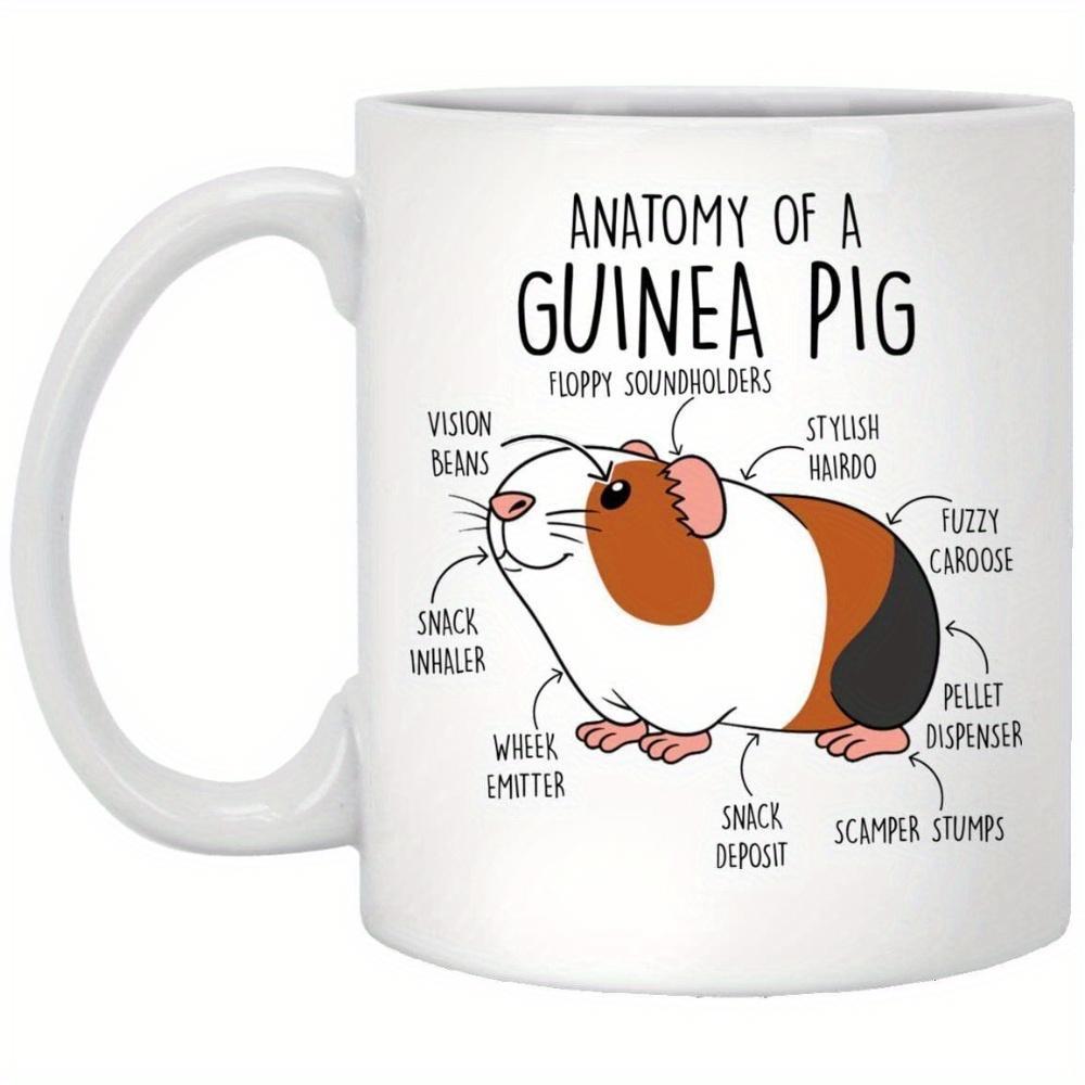 Tailorly White Ceramic 11 oz Mug - Anatomy Of A Guinea Pig Cute Tricolor Cartoon Rodent With Humorous Descriptive Anatomical Labels Guinea Pig