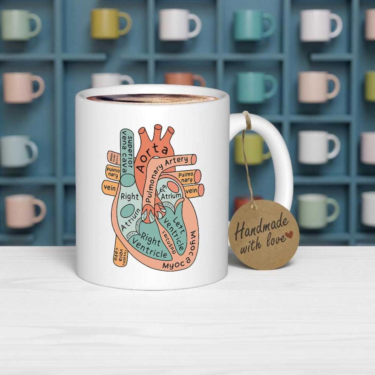 Tailorly White Ceramic 11 oz Mug - Aorta Colorful Anatomical Scientific Diagram With Hand Drawn Details And Medical Labels Heart