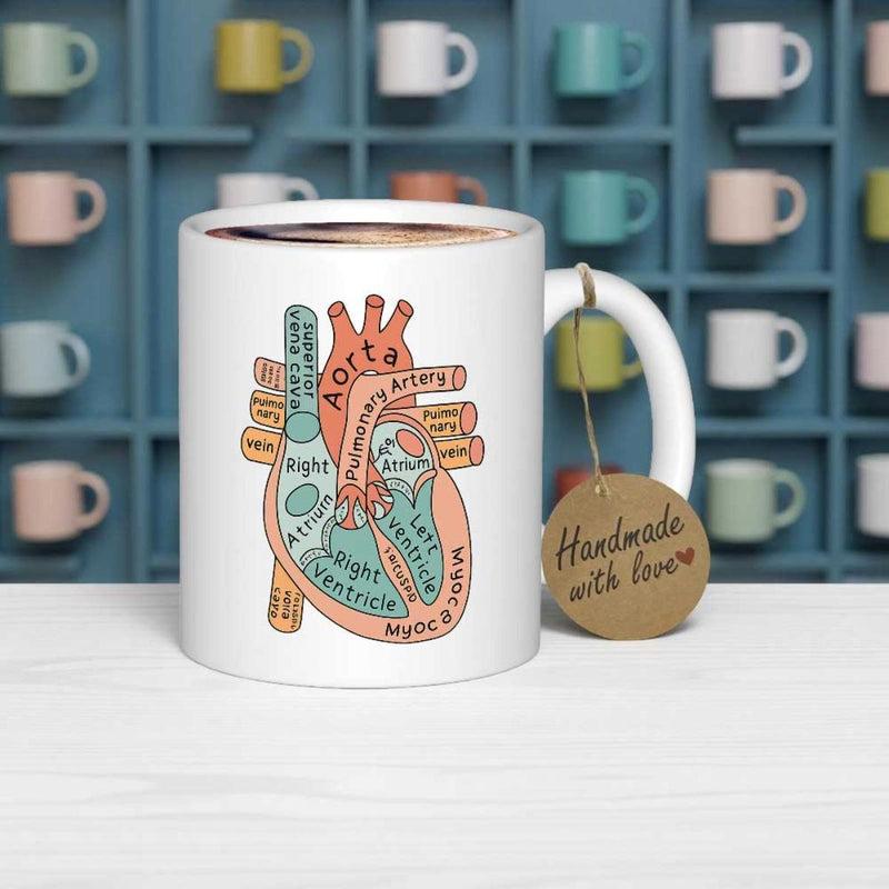 Tailorly White Ceramic 11 oz Mug - Aorta Colorful Anatomical Scientific Diagram With Hand Drawn Details And Medical Labels Heart
