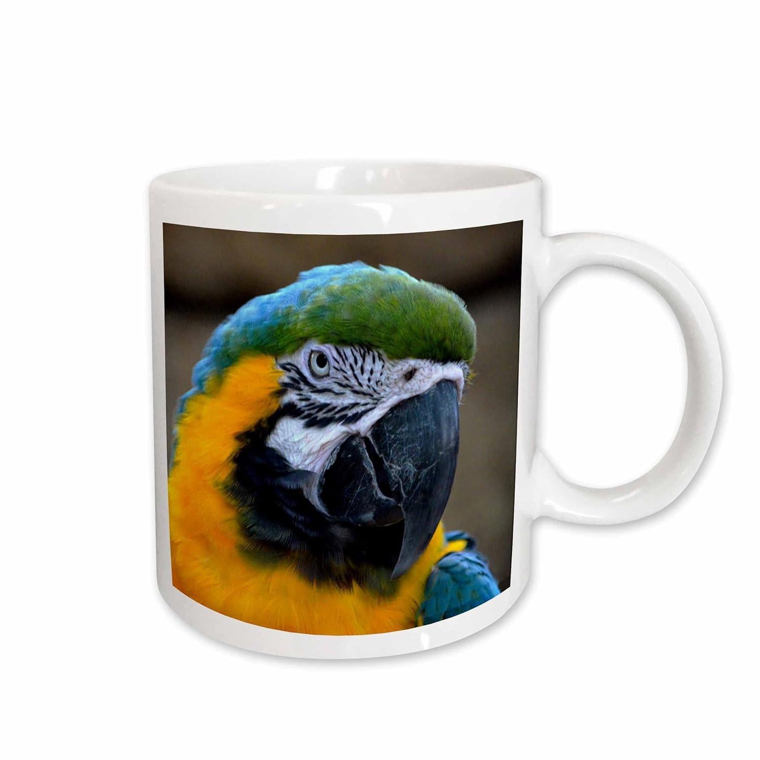 Tailorly White Ceramic 11 oz Mug - Vibrant Tropical Blue And Yellow Macaw With Majestic Beak Details Parrot