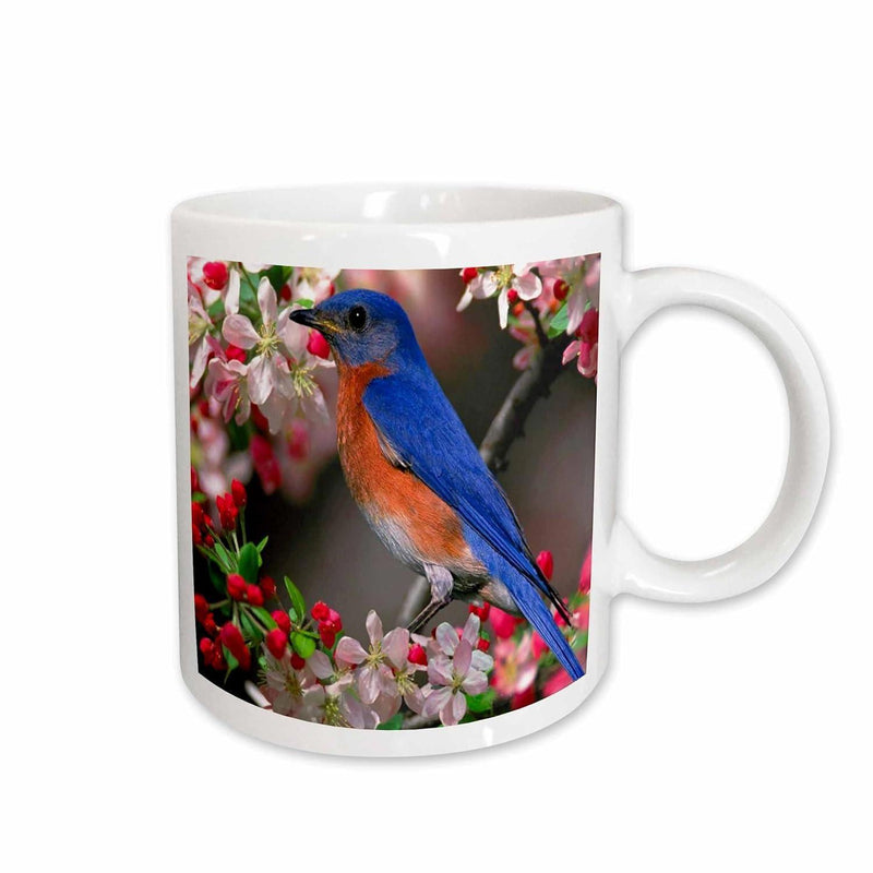 Tailorly White Ceramic 11 oz Mug - Colorful Songbird Resting Amidst Springtime Cherry Blossoms Within A Garden Setting Bird