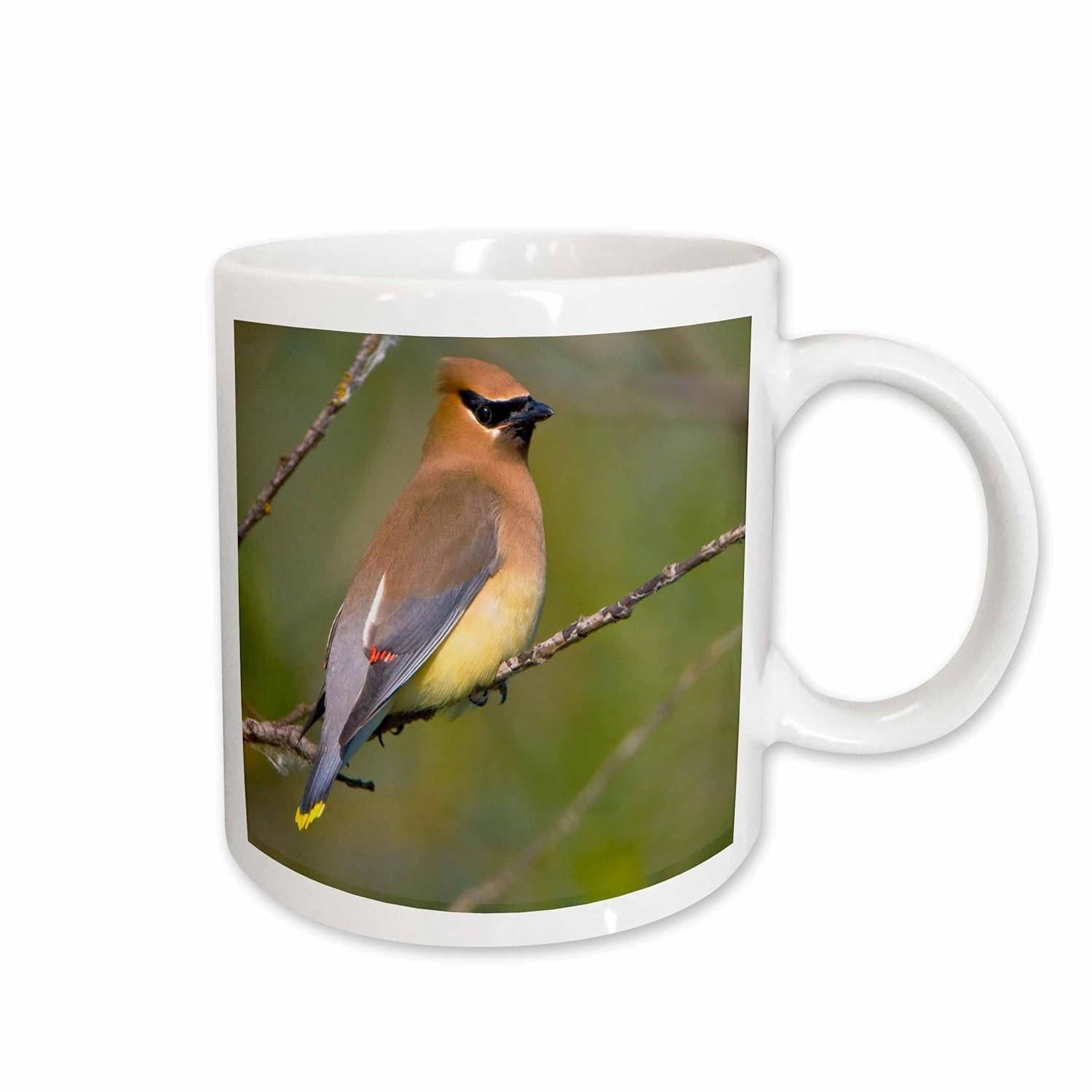 Tailorly White Ceramic 11 oz Mug - Elegant Wild Bird Perched On Delicate Branch Within A Soft Green Forest Bird