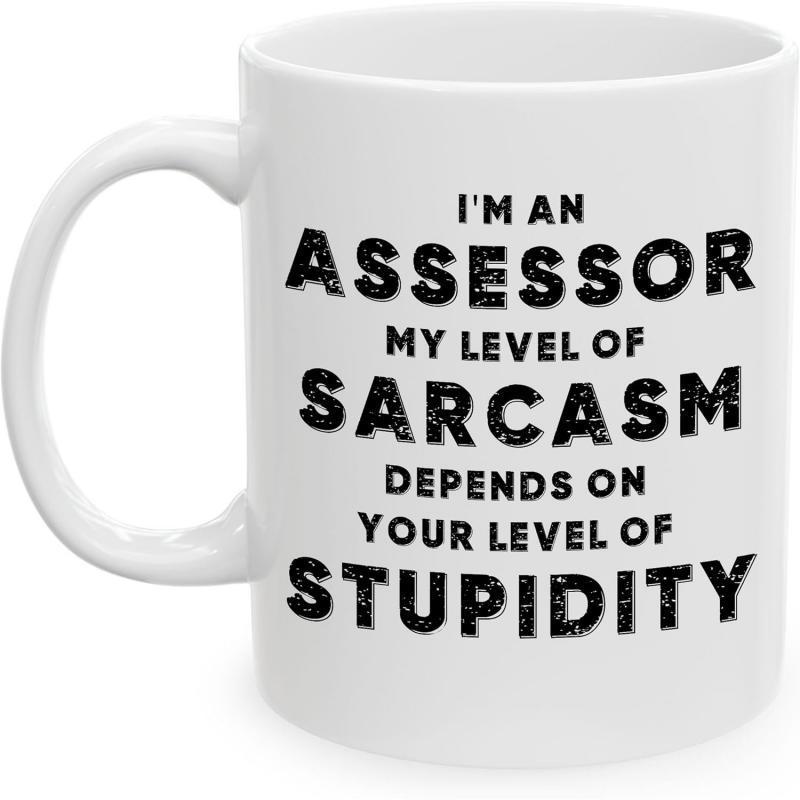 Tailorly White Ceramic 11 oz Mug - Im An Assessor My Level Of Sarcasm Depends On Your Level Of Stupidity Classic White Ceramic Material For Daily Coffee Drinking
