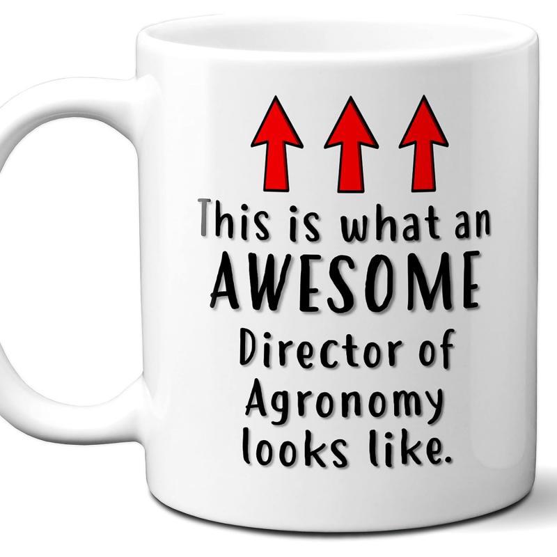 Tailorly White Ceramic 11 oz Mug - This Is What An Awesome Director Of Agronomy Looks Like Three Bold Red Arrows Pointing Upwards Towards Professional Career Text