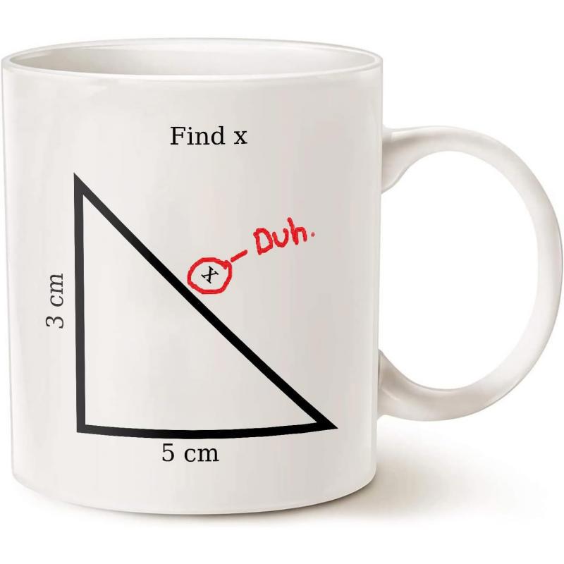 Tailorly White Ceramic 11 oz Mug - Find X Duh Geometric Right Triangle Math Joke Printed On