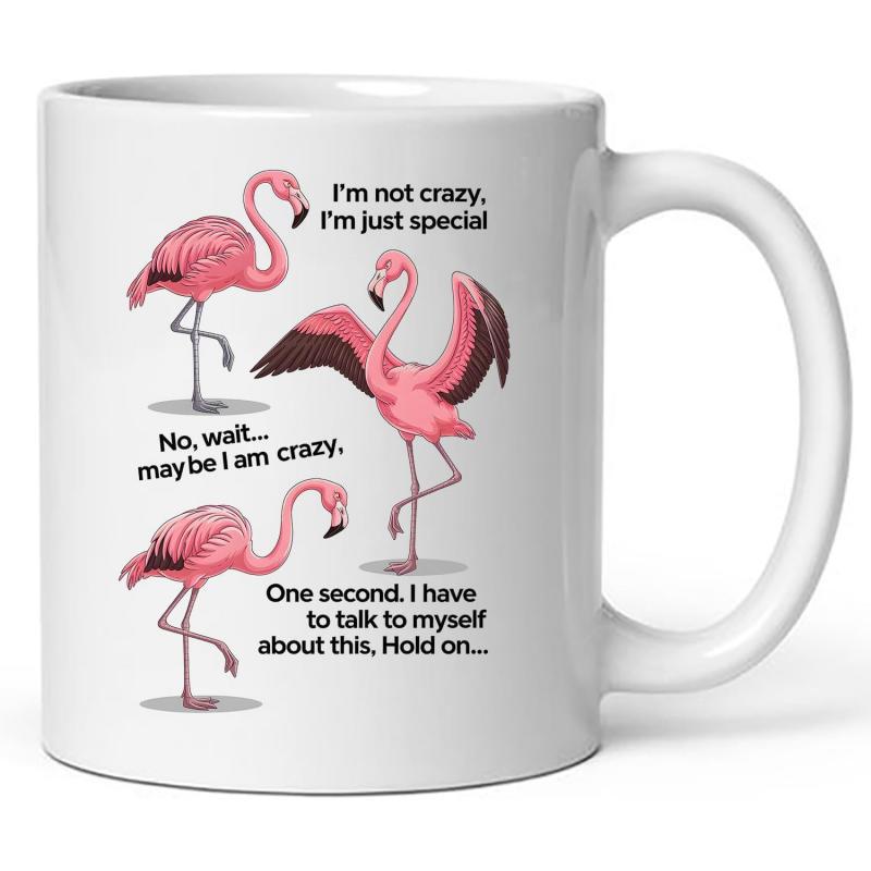 Tailorly White Ceramic 11 oz Mug - Im Not Crazy Im Just Special No Wait Maybe I Am Crazy One Second I Have To Talk To Myself About This Hold On Three Graceful Pink
