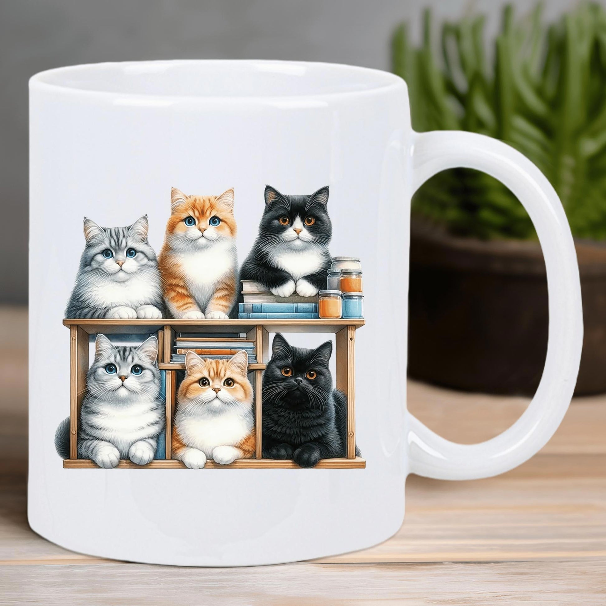 Tailorly White Ceramic 11 oz Mug - Cute Colorful Domestic Kittens Sitting Neatly On A Wooden Bookshelf Cats