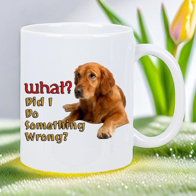 Tailorly White Ceramic 11 oz Mug - What Did I Do Something Wrong Faithful Golden Retriever Resting Calmly While Looking Towards The Camera Golden Retriever