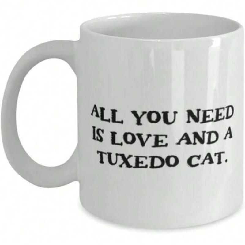 Tailorly White Ceramic 11 oz Mug - All You Need Is Love And A Tuxedo Cat Minimalist Bold Black Lettering Style Expressing Affection For A Bicolor Feline Cat