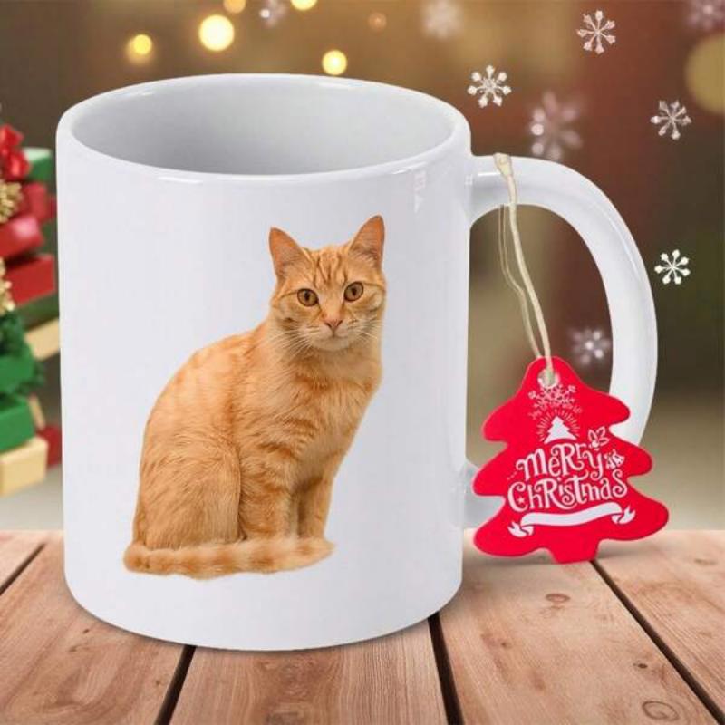 Tailorly White Ceramic 11 oz Mug - Merry Christmas Adorable Orange Tabby Sitting Calmly On Simple White Ground Cat
