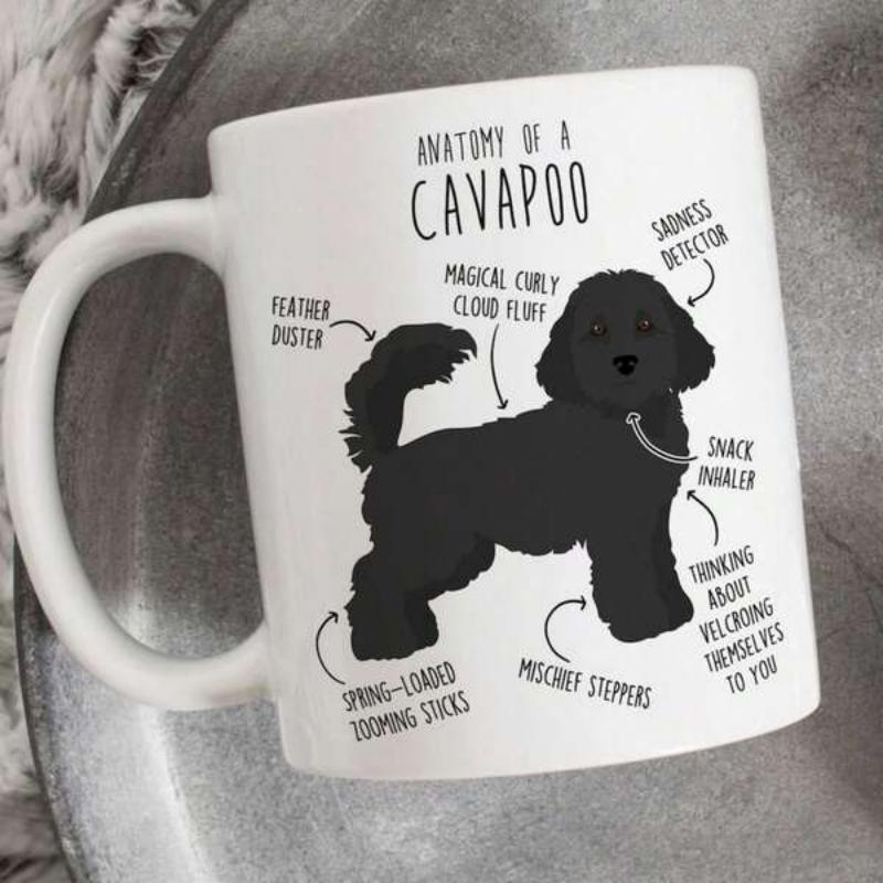 Tailorly White Ceramic 11 oz Mug - Anatomy Of A Cavapoo Black Curly Dog Standing Alone With Funny Anatomical Descriptive Labels Cavapoo
