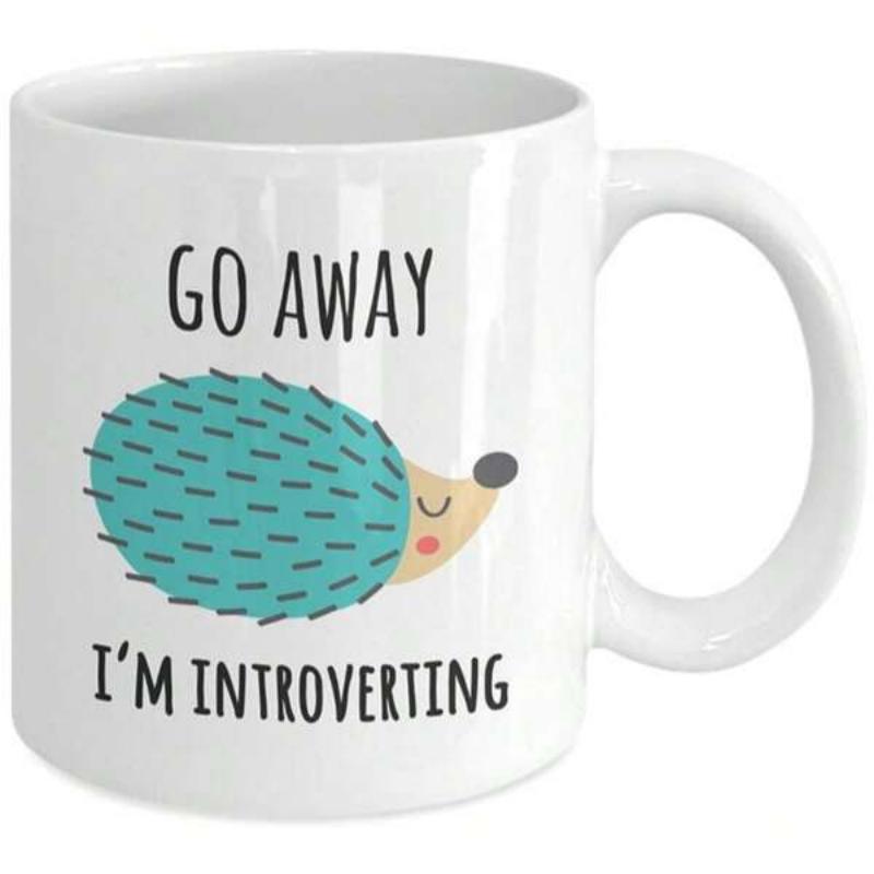 Tailorly White Ceramic 11 oz Mug - Go Away Im Introverting Cute Teal Spiky Animal Resting In Peaceful Solitude Hedgehog