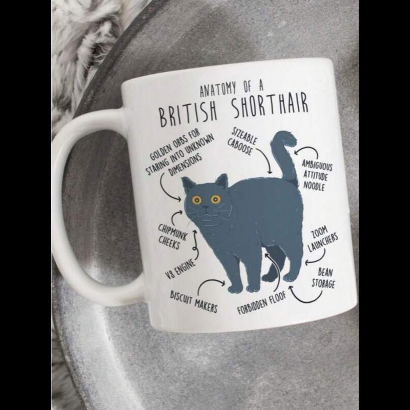 Tailorly White Ceramic 11 oz Mug - Anatomy Of A British Shorthair Detailed Artistic Diagram Showing Humorous Traits Of A Standing Gray Cat