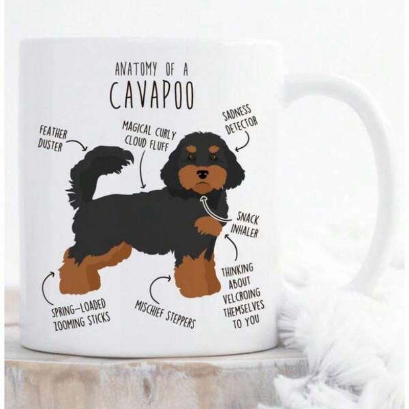 Tailorly White Ceramic 11 oz Mug - Anatomy Of A Cavapoo Cute Cartoon Dog Featuring Humorous Descriptive Anatomical Labels Cavapoo