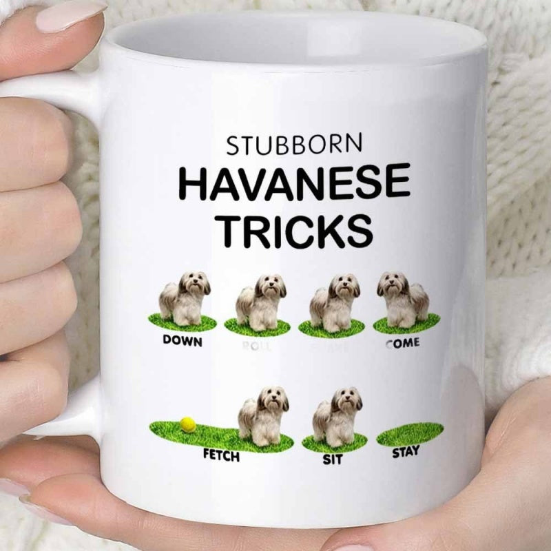 Tailorly White Ceramic 11 oz Mug - Stubborn Havanese Tricks Down No Come Fetch Sit Stay Adorable Fluffy Little Dog Sitting On Green Grass Patches Performing