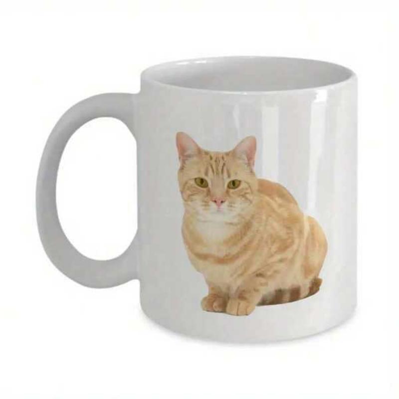 Tailorly White Ceramic 11 oz Mug - Majestic Orange Tabby Feline Sitting Gracefully With Calm Expressions Cat