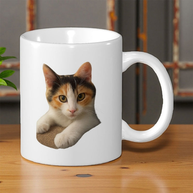 Tailorly White Ceramic 11 oz Mug - Adorable Calico Kitten Looking Forward With Gentle Eyes And White Paws Cat