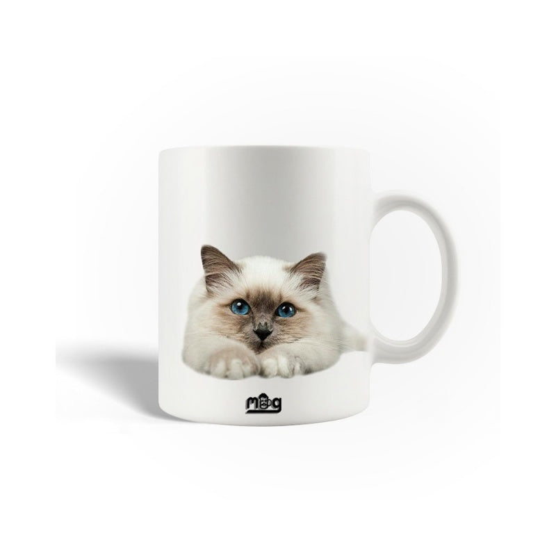 Tailorly White Ceramic 11 oz Mug - Mug Fluffy Longhair Birman With Striking Blue Eyes Resting On White Surface Cat