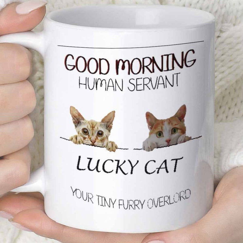 Tailorly White Ceramic 11 oz Mug - Good Morning Human Servant Lucky Cat Your Tiny Furry Overlord Two Adorable Kittens Peeking Over A Simple Line With Paws Cat