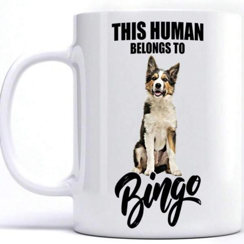 Tailorly White Ceramic 11 oz Mug - This Human Belongs To Bingo Loyal Sitting Border Collie With Attentive Ears And Spotted Fur Dog
