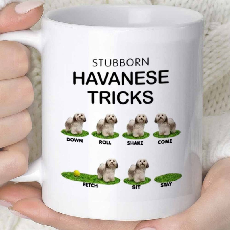 Tailorly White Ceramic 11 oz Mug - Stubborn Havanese Tricks Down Roll Shake Come Fetch Sit Stay Multiple Small Fluffy Puppies Sitting Peacefully On Green Grass