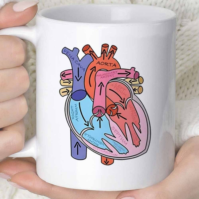 Tailorly White Ceramic 11 oz Mug - Aorta Vena Cava Detailed Medical Illustration Showing Blood Flow Paths Within A Colorful Human Anatomical Heart