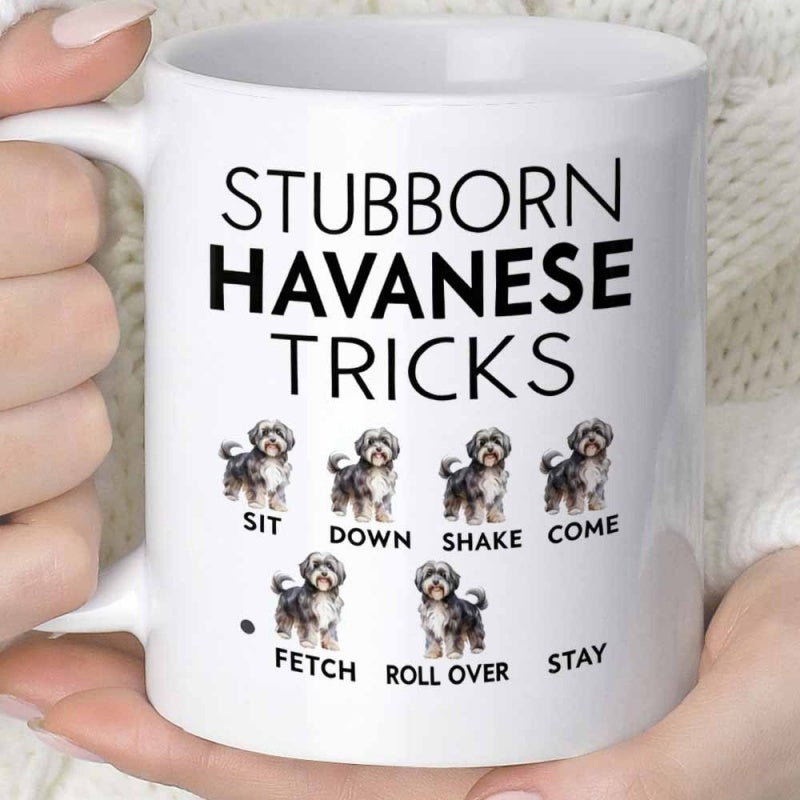 Tailorly White Ceramic 11 oz Mug - Stubborn Havanese Tricks Sit Down Shake Come Fetch Roll Over Stay Cute Fluffy Dog Illustrations Showing Different Training
