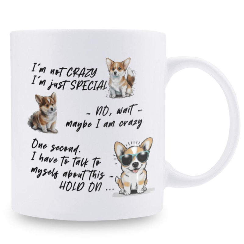 Tailorly White Ceramic 11 oz Mug - Im Not Crazy Im Just Special No Wait Maybe I Am Crazy One Second I Have To Talk To Myself About This Hold On Three Adorable