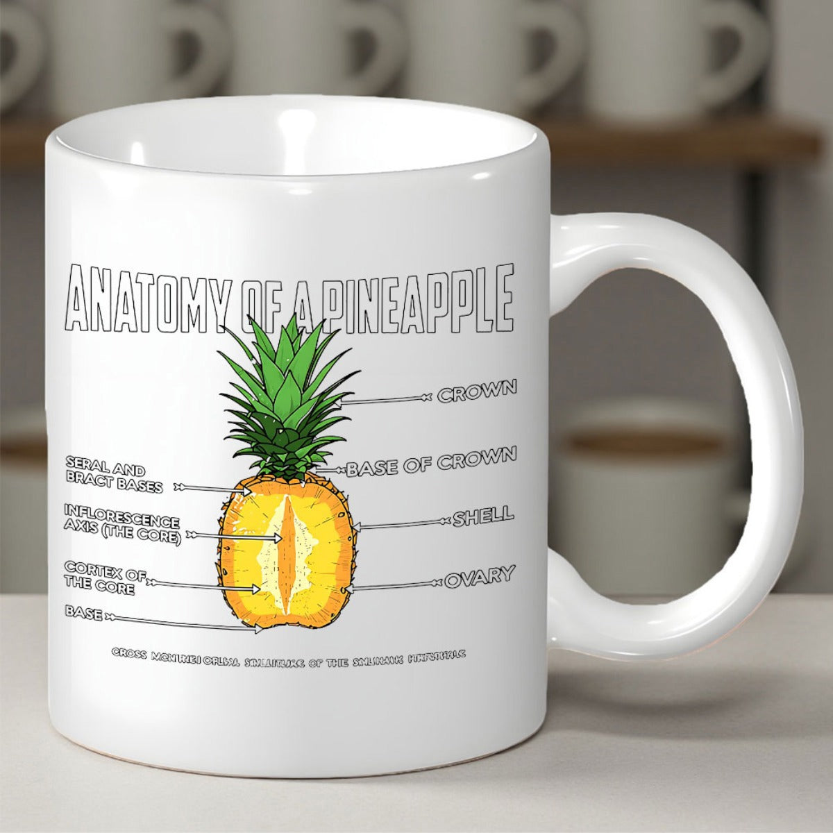 Tailorly White Ceramic 11 oz Mug - Anatomy Of A Pineapple Detailed Educational Cross Section Illustration With Green Leaves And Fruit Pineapple