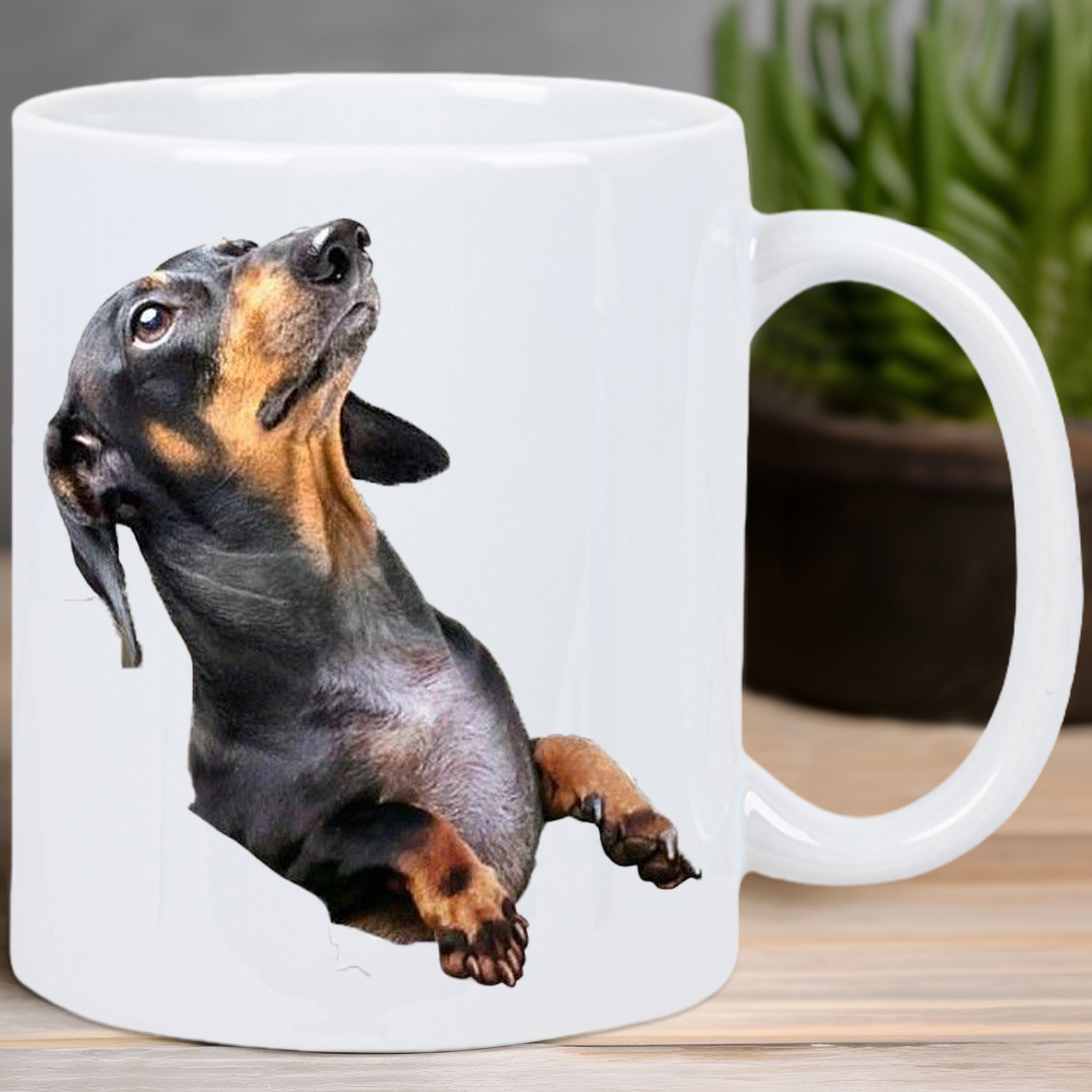 Tailorly White Ceramic 11 oz Mug - Realistic Black And Tan Short Haired Breed Looking Upward Curiously Dachshund