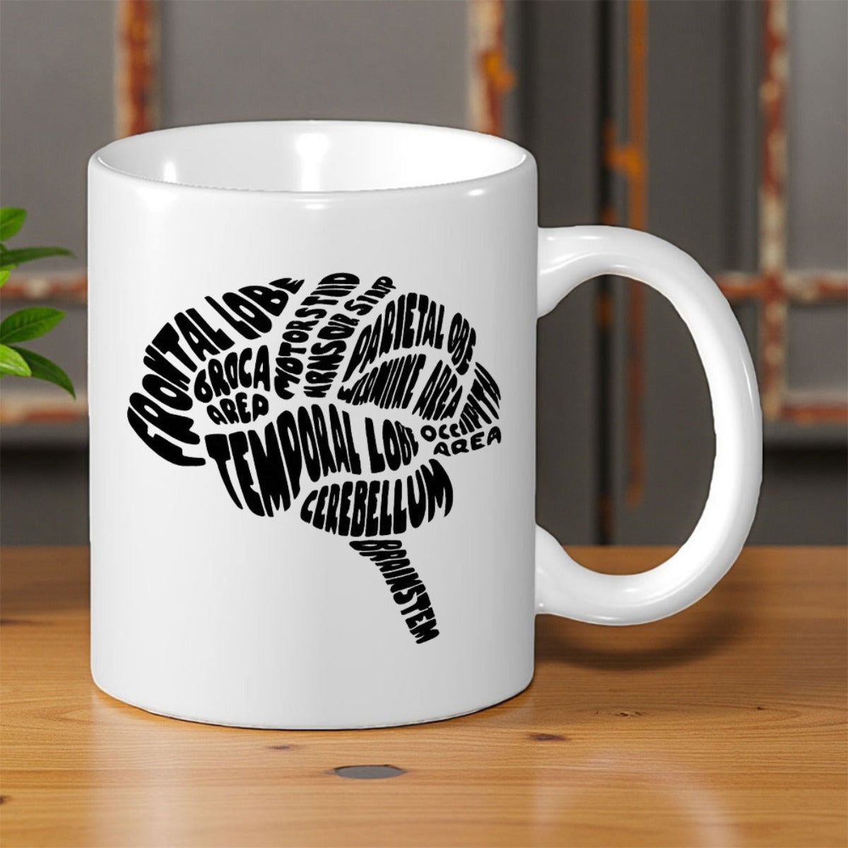 Tailorly White Ceramic 11 oz Mug - Frontal Lobe Temporal Lobe Cerebellum Brainstem Anatomical Silhouette Composed Of Bold Black Typography Representing Human