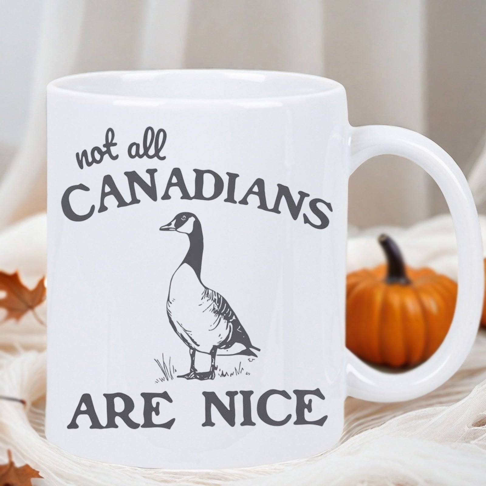 Tailorly White Ceramic 11 oz Mug - Not All Canadians Are Nice Detailed Vintage Illustration Of A Wild Goose Standing Among Grass Goose