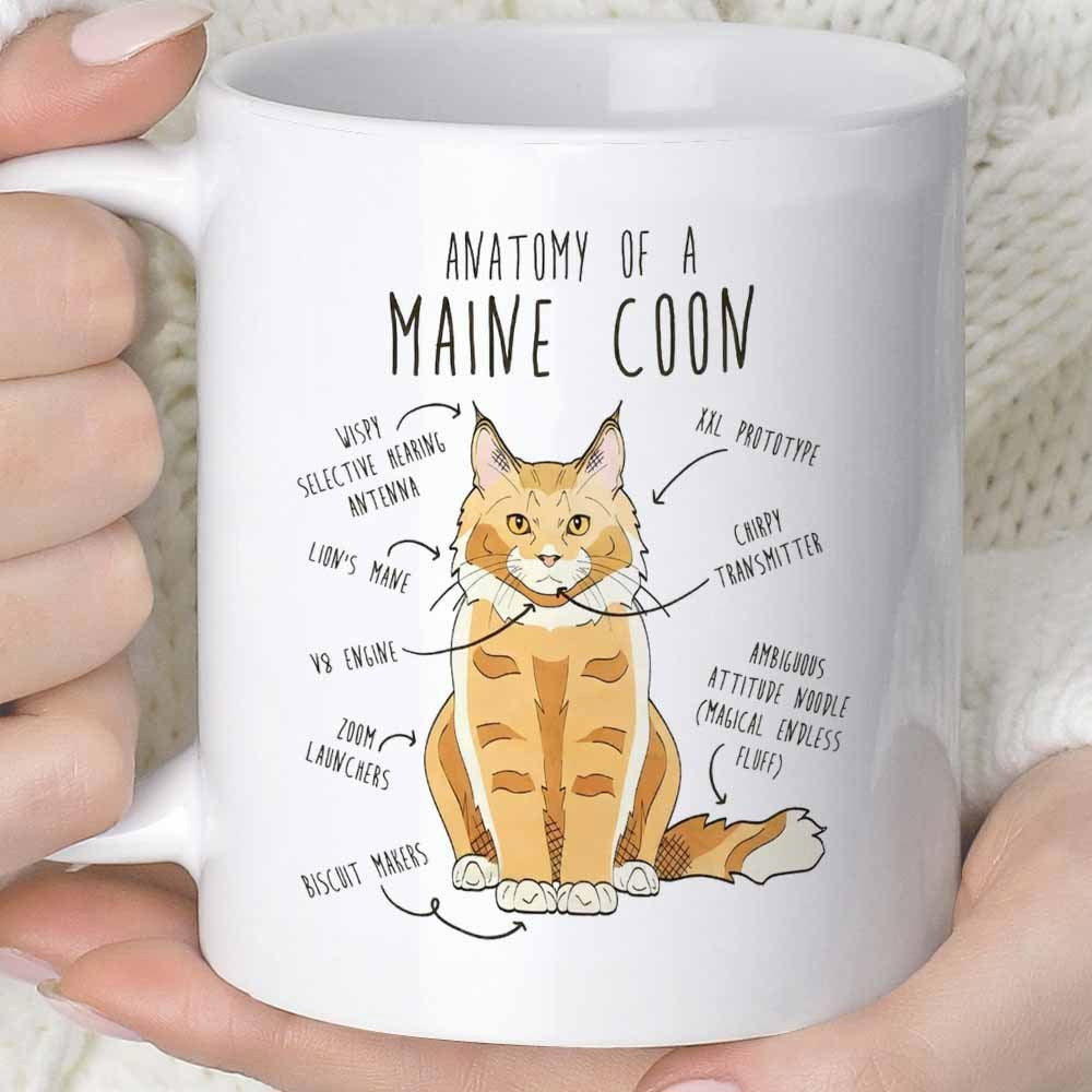 Tailorly White Ceramic 11 oz Mug - Anatomy Of A Maine Coon Hand Drawn Ginger Feline With Funny Labels And Long Whiskers Fluffy Cat