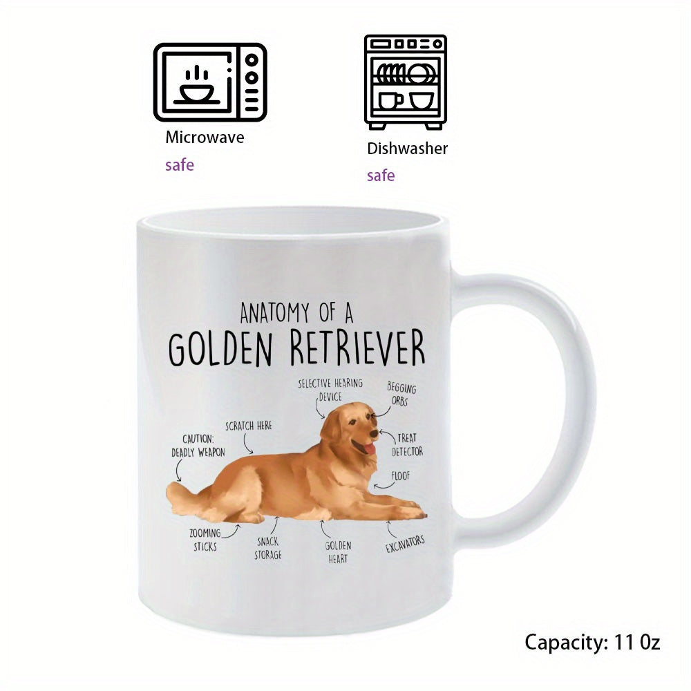 Tailorly White Ceramic 11 oz Mug - Anatomy Of A Golden Retriever Detailed Diagram Showcasing Friendly Features Of A Resting Loyal Companion Retriever