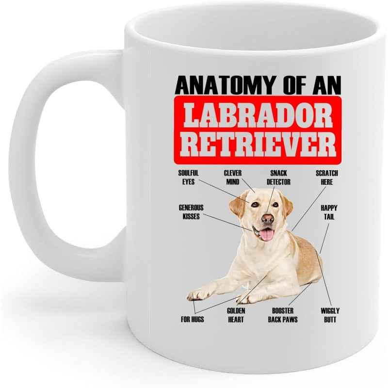 Tailorly White Ceramic 11 oz Mug - Anatomy Of An Labrador Retriever Faithful Yellow Dog Resting Peacefully Amidst Playful Anatomy Description Labels Labrador