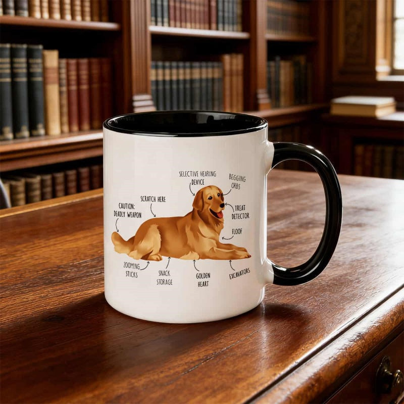 Tailorly Black Accent 11 oz Mug - golden retriever labeled breed anatomy chart