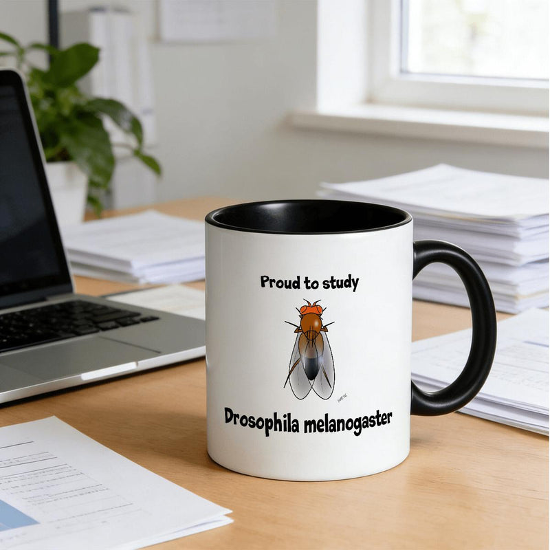 Tailorly Black Accent 11 oz Mug - to Study Melanogaster text and design