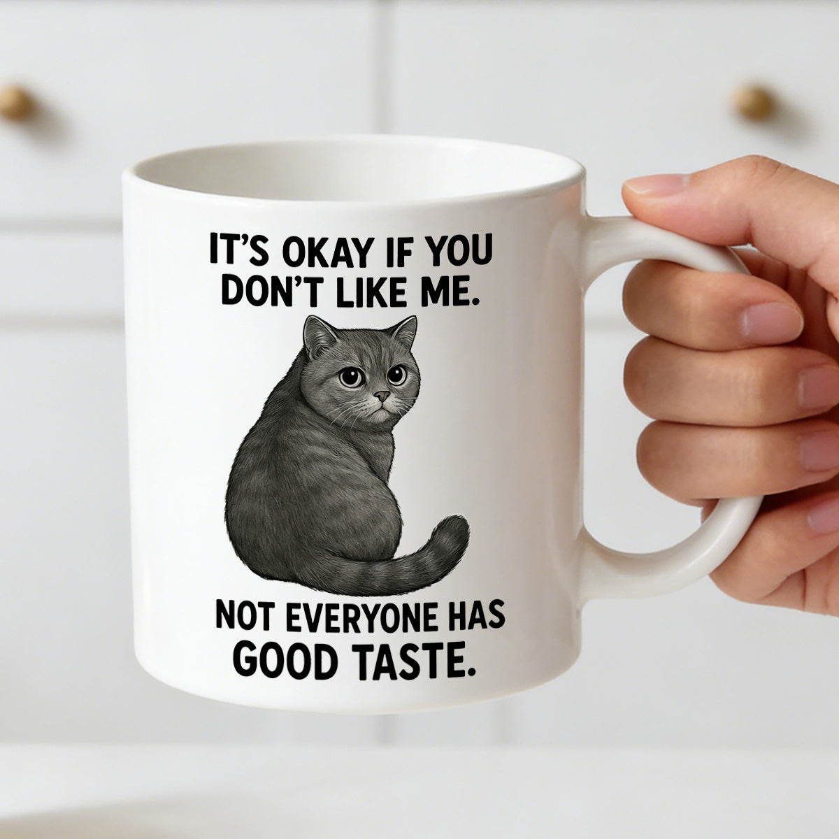 Tailorly White Ceramic 11 oz Mug - its okay dont not everyone has funny gray cat mug 11oz novelty coffee cup for cat lovers for friends coworkers